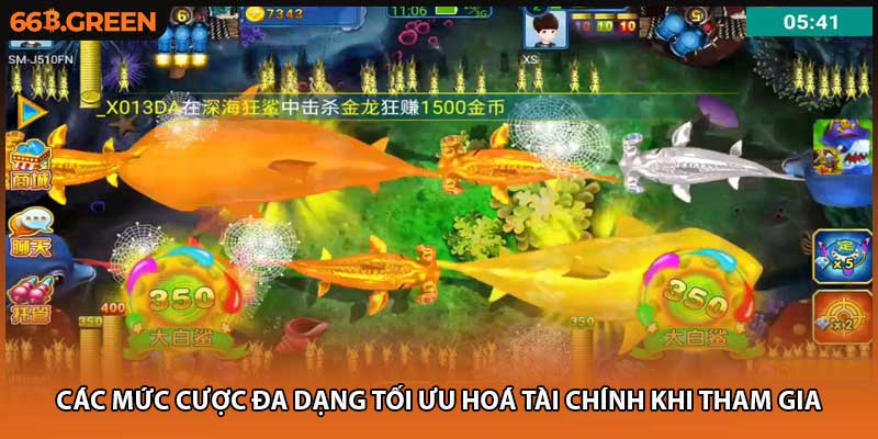 Các mức cược đa dạng tối ưu hoá tài chính khi tham gia