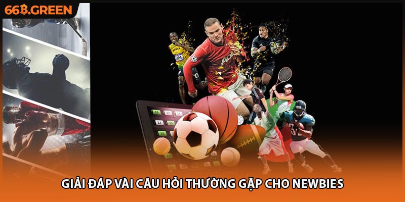 Giải đáp vài câu hỏi thường gặp cho newbies