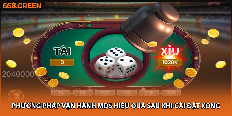 Phương pháp vận hành MD5 hiệu quả sau khi cài đặt xong